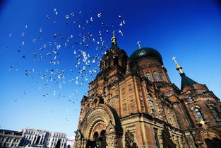 哈尔滨天气预报15天气旅游攻略，哈尔滨天气预报15天气报15天气