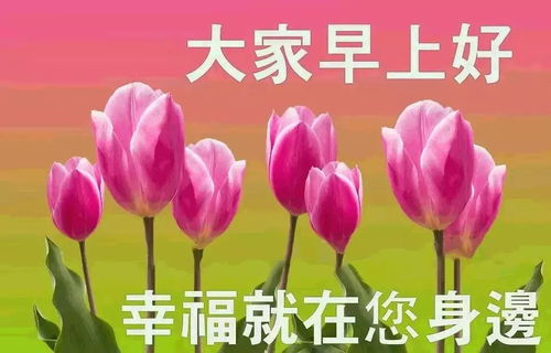 早上好的问候语