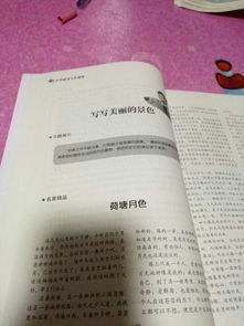 我的家园小学作文