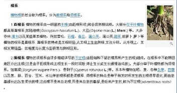 什么是须根系?什么是直根系?