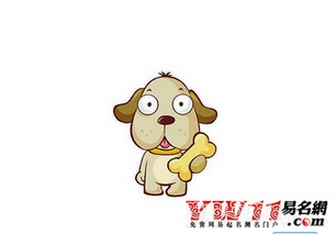 属狗的今年多大了?