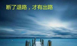 你是我唯一的退路是什么意思