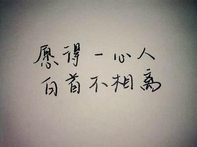 愿得一心人李行亮，愿得一心人还是一人心