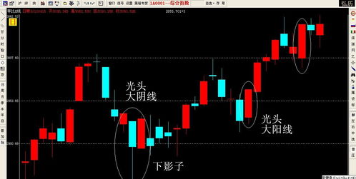 光头阳线图解，光头阳线选股公式
