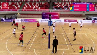 volley小站的微博，volleygo