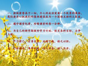 我理想中的班集体作文