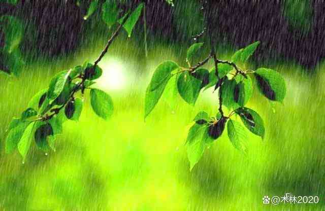 一场春雨一场暖下一句当美食怎么说，一场春雨一场暖下一句怎么接