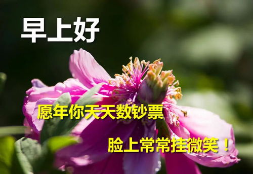 早上好问候语简单短句，早上好问候语大全