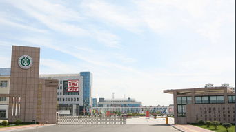 山东高等专科学校2023年招生，山东高等专科学校官网