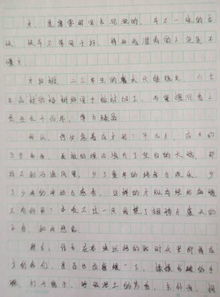 感恩作文800字高中生记叙文，感恩作文800字高中题目