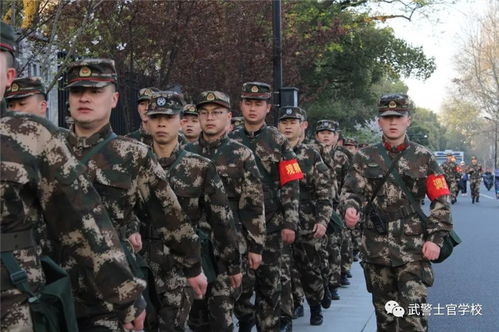 飒爽英姿是什么意:?