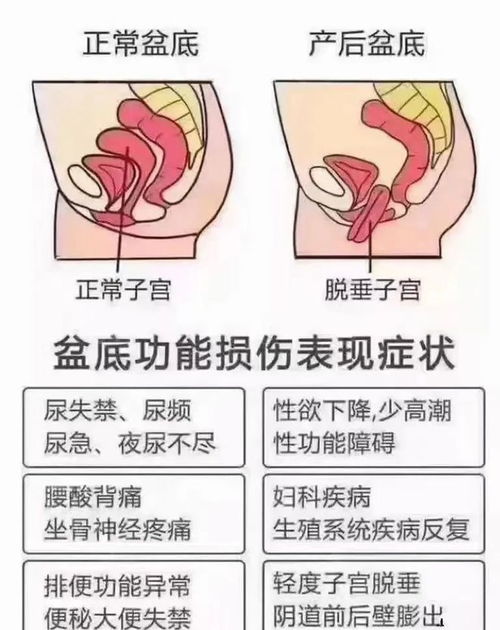 对比的写作手法