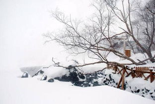 形容雪的成语不含雪字，形容雪的词语不带雪字