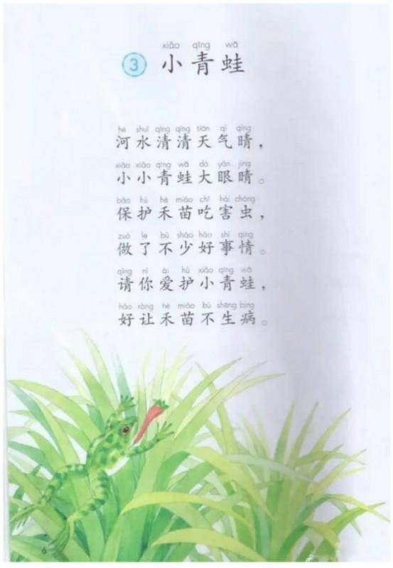 一粒种子感受30字?