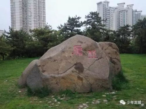 雁丘在哪里，雁丘词全诗