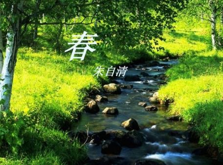 三年级仿写荷花的第四段写一种植物500字的作文?