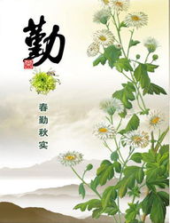 春什么秋实成语填空，春什么秋实二年级