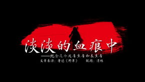 淡淡的血痕中内容概括，淡淡的血痕中读后感50字