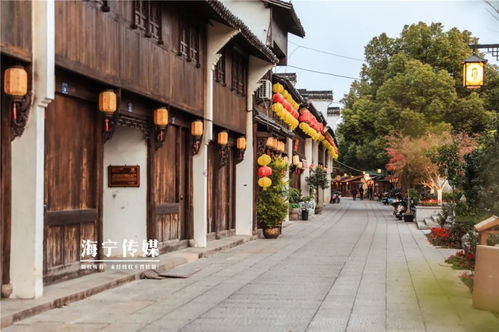 空巷成语，空巷子电视剧全集剧情
