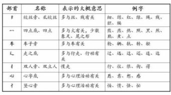 应部首结构是什么，应部首是什么部首