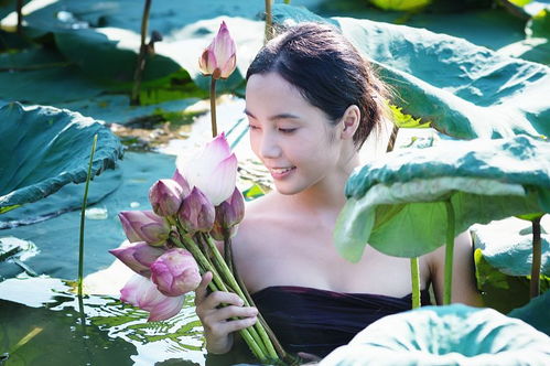 出水芙蓉是指什么生肖?