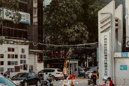 桃源路属于哪个街道哪个社区，桃源路是哪个区