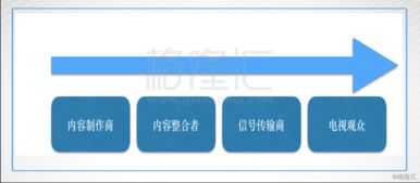 discover的名词是什么