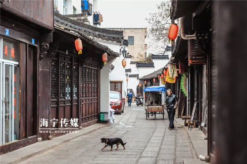 万人空巷是什么意思?万人空巷成语造句和典故