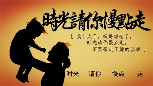 我的人生电视剧全集，我的人生我做主