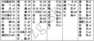 识记什么意思