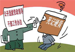 遴选和公选是什么意思