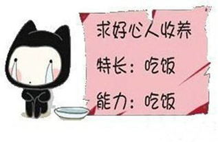 MC小依躲避的爱歌词