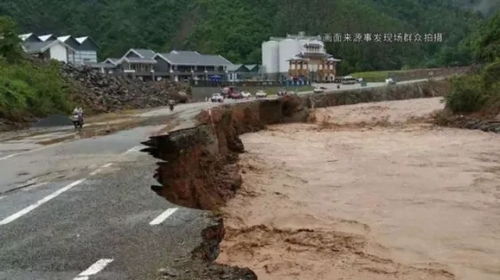帮忙把八月份上海的天气情况列出来