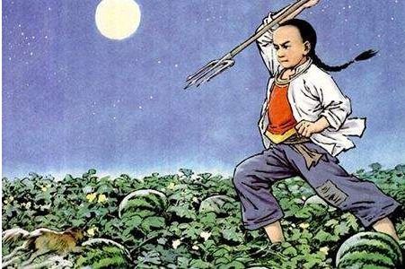 六年级上册25课少年闰土笔记，少年闰土笔记主要内容