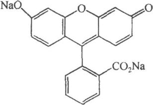 荧光素钠多少钱一支，荧光素钠造影剂