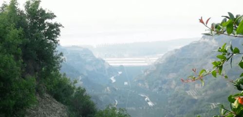 河阴石榴简介，河阴石榴是哪里的特产