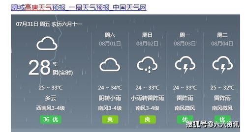 山东高唐天气预报15天查询，山东高唐天气预报一周15天