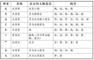 小升初语文复习重点