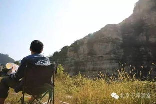 氓 中有句 "乘彼垝垣,以望复关。"有谁知道"垝"读什么?为什么字典上没有