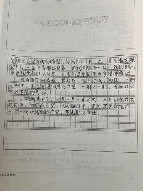 守望作文600字初中，守望作文700字