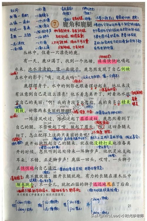 《三年级下册语文》第二课古诗两首的两首诗的诗句是什么意思?