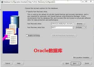 oracle数据库，oracle财务软件