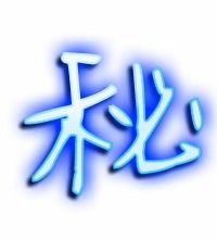 秘组词组