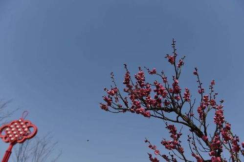 冬去春来,夏隐秋至,一年四季,周而复始,变化无常，冬去春来是因果关系吗
