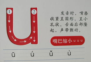 嗡嗡的拼音和解释???