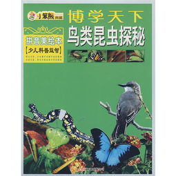 鸟拼音笔顺，袅拼音