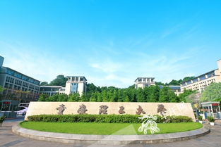 重庆理工大学怎么样张雪峰评价，重庆理工大学怎么样?大学排名