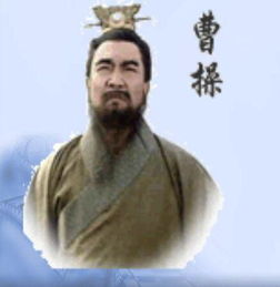 多谋善断打一个正确生肖，多谋善断翻译