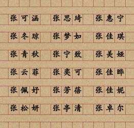 张氏男孩取什么名字好听