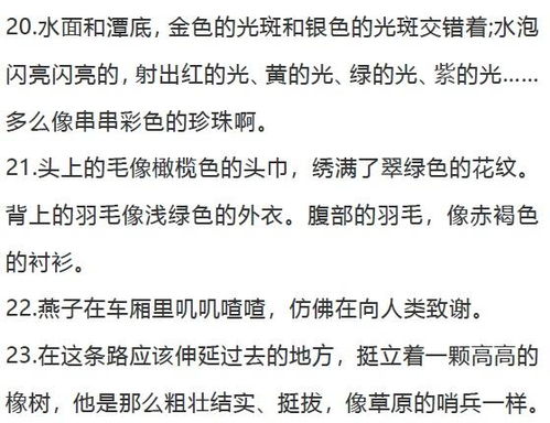 好的比喻句